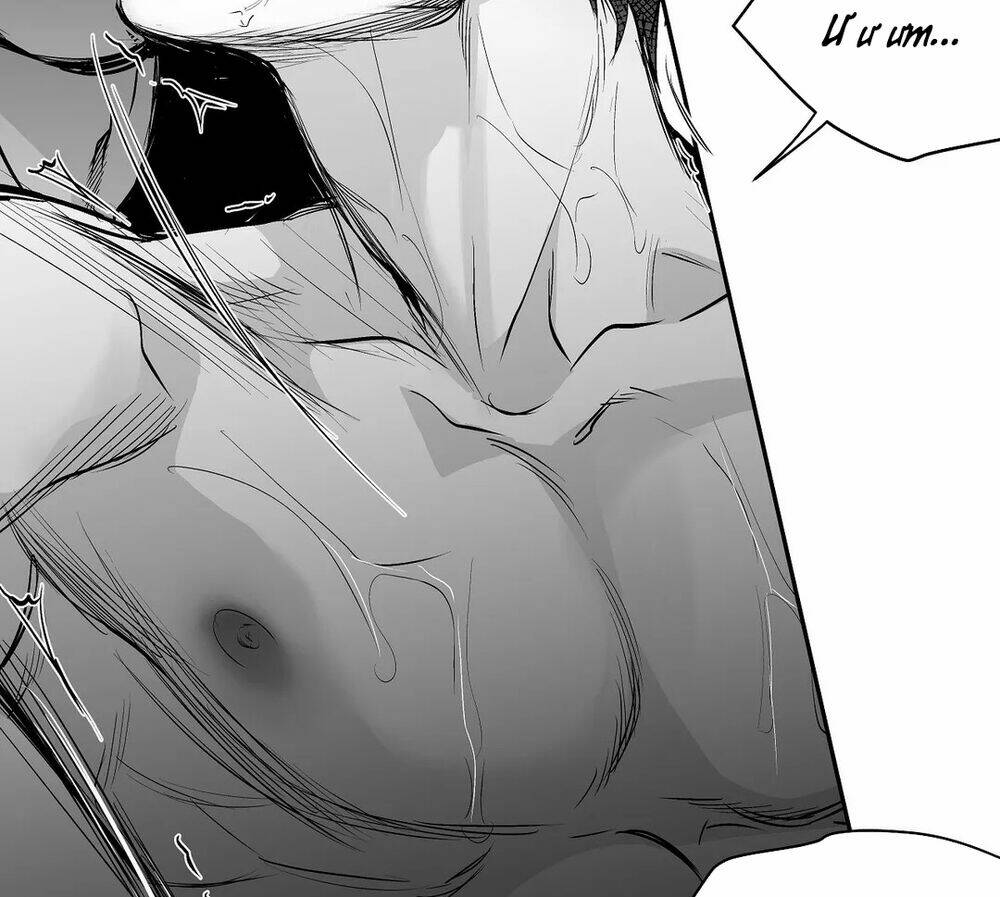 page_29.jpg