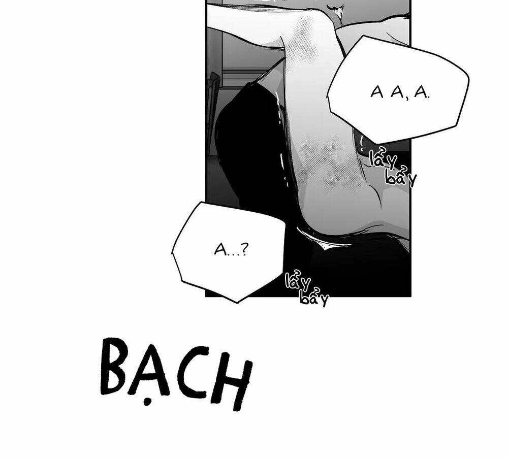 page_132.jpg