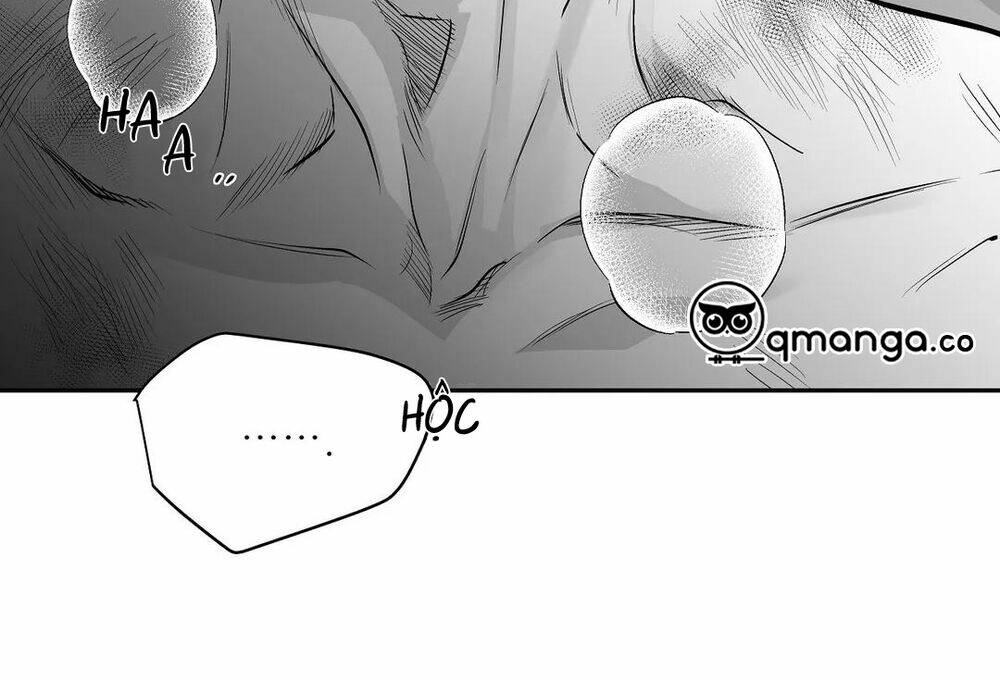 page_24.jpg