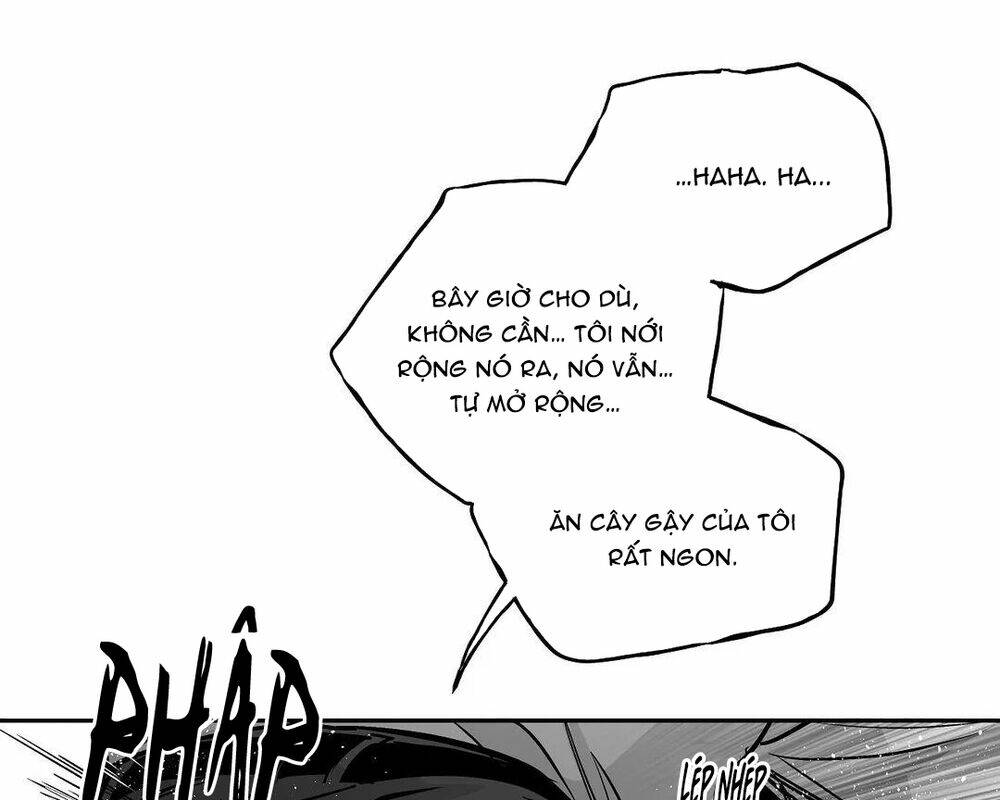 page_105.jpg