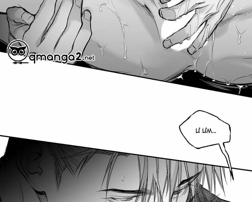 page_55.jpg