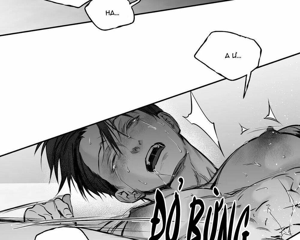 page_96.jpg