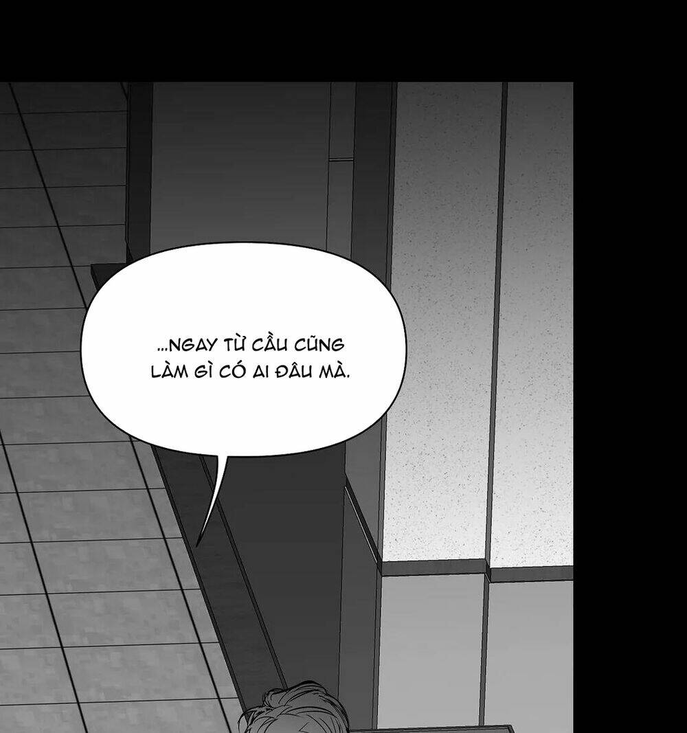 page_28.jpg