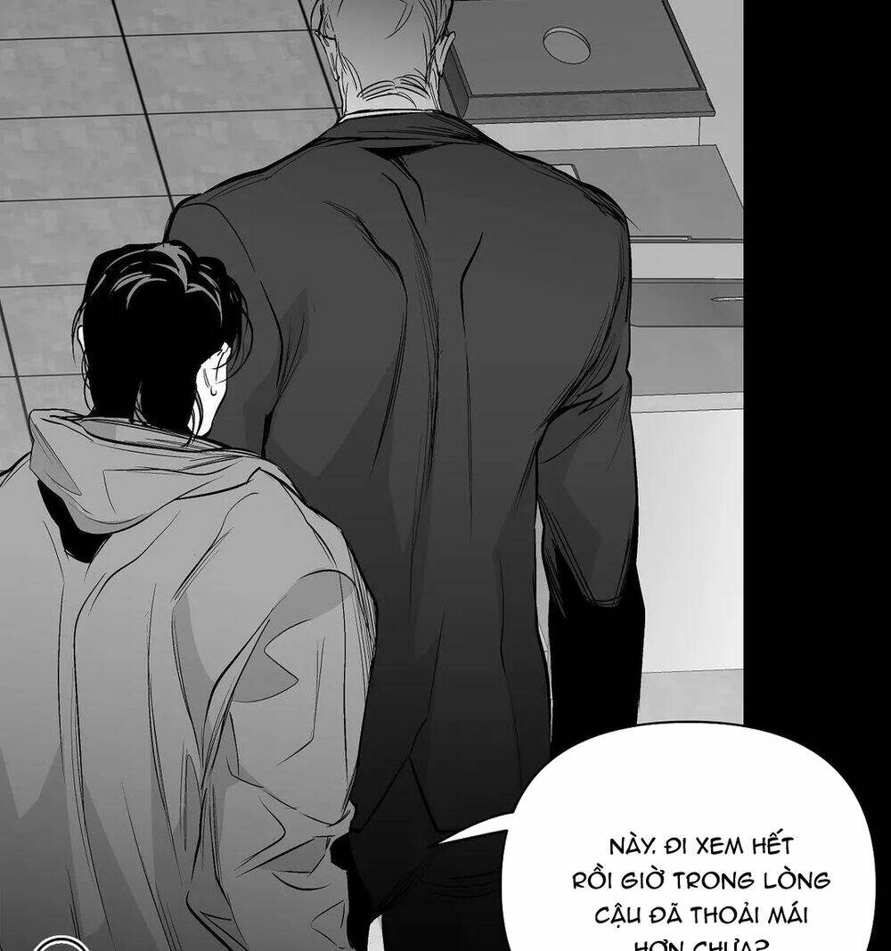 page_29.jpg