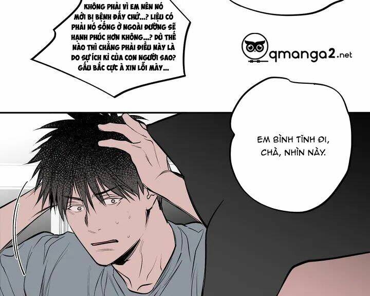 page_16.jpg