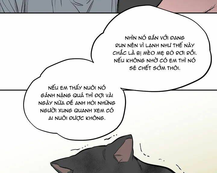 page_17.jpg