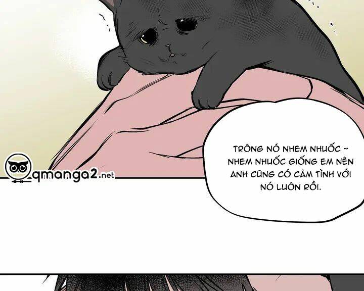 page_18.jpg
