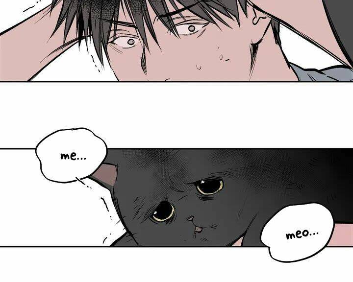 page_19.jpg