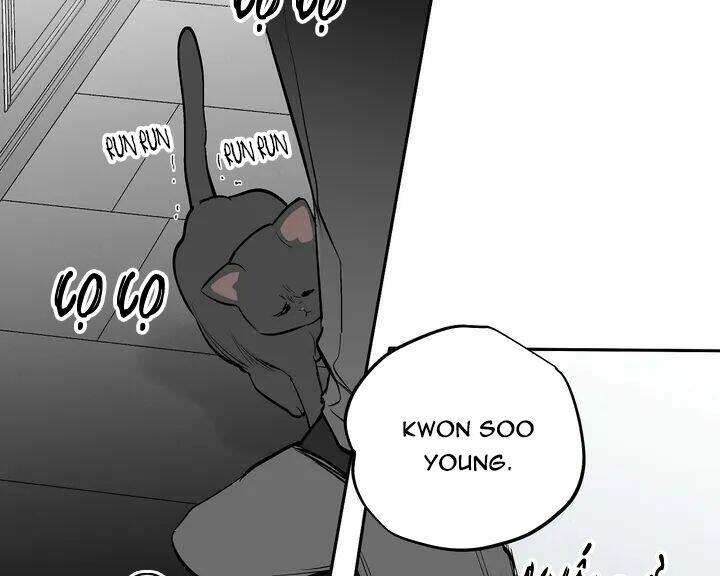 page_26.jpg