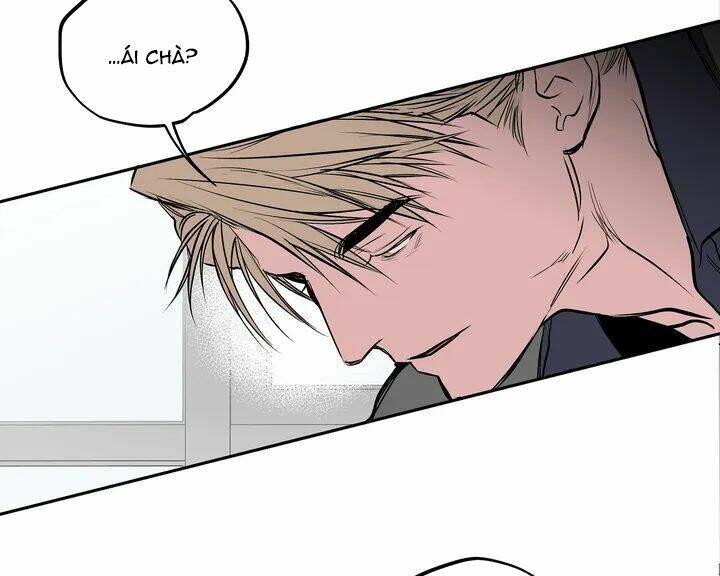 page_39.jpg