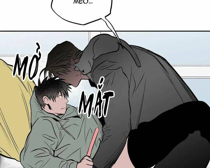 page_43.jpg
