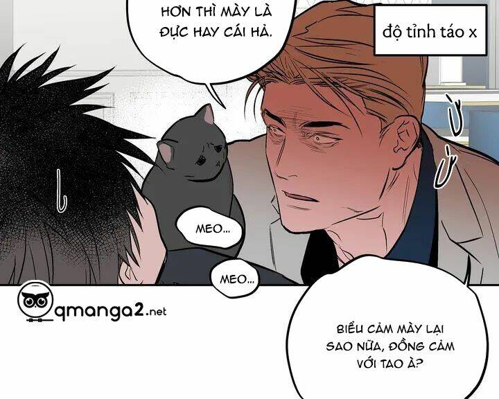 page_61.jpg