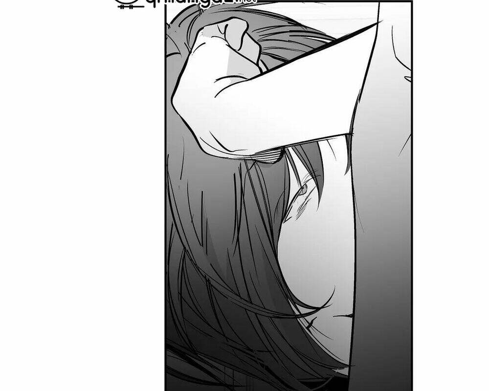 page_24.jpg