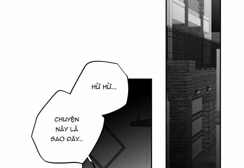 page_24.jpg