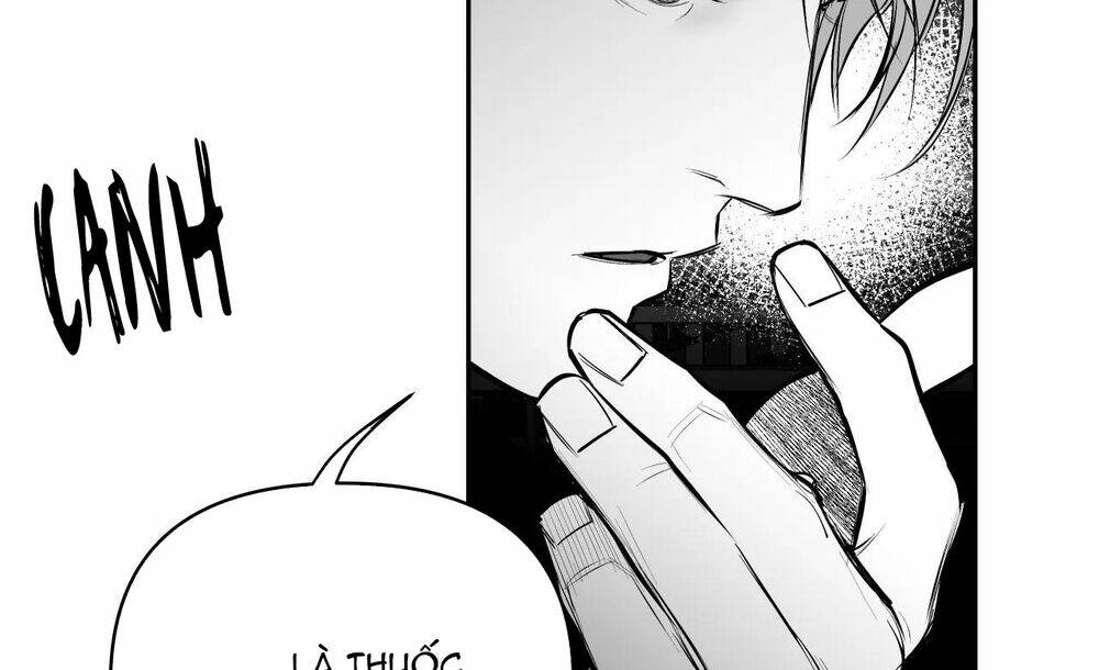 page_23.jpg