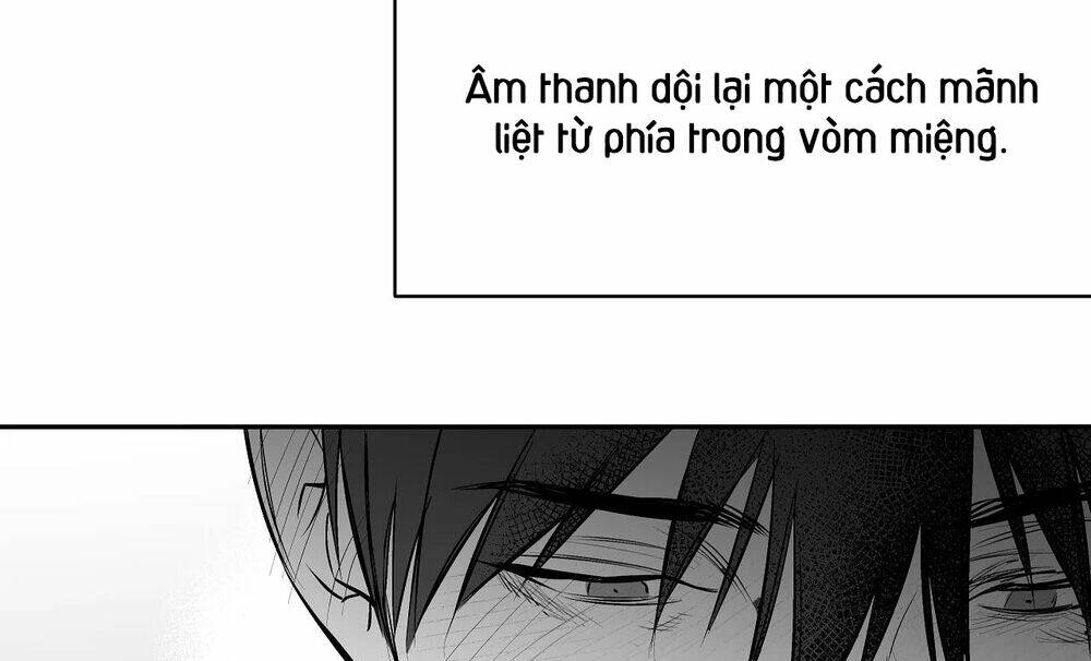 page_284.jpg