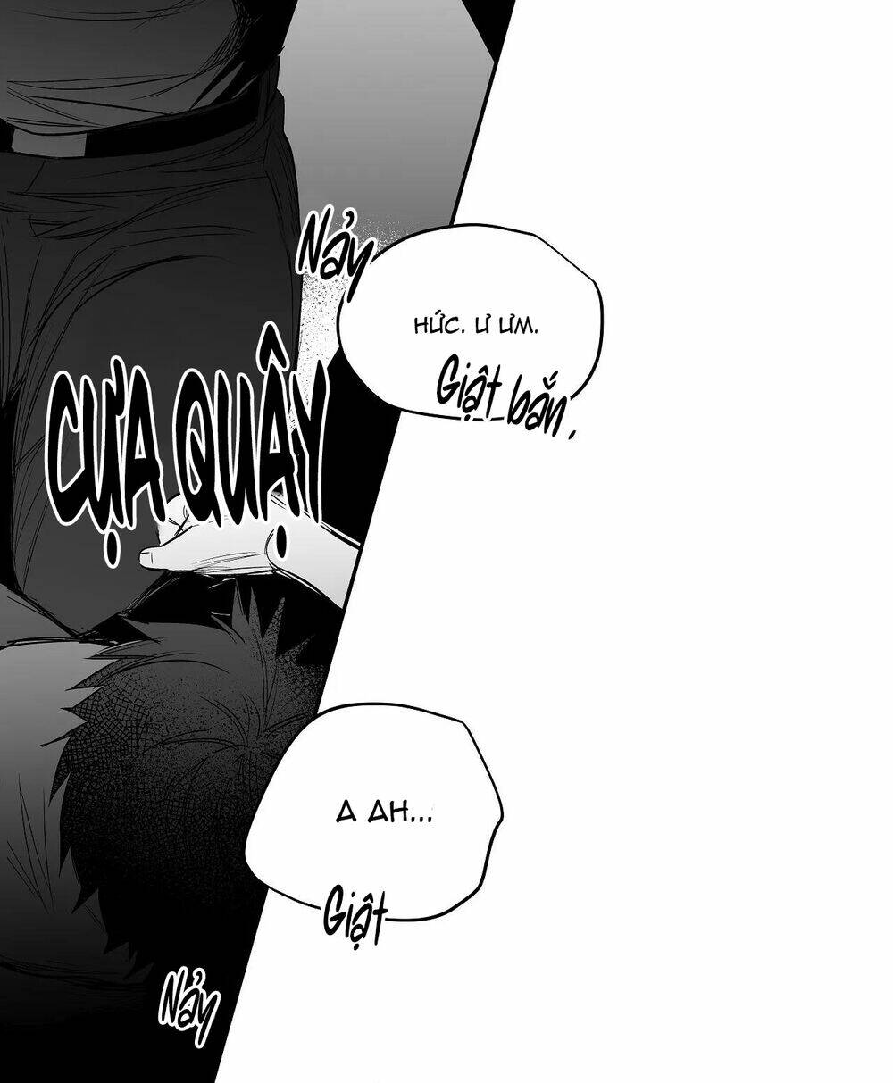 page_31.jpg
