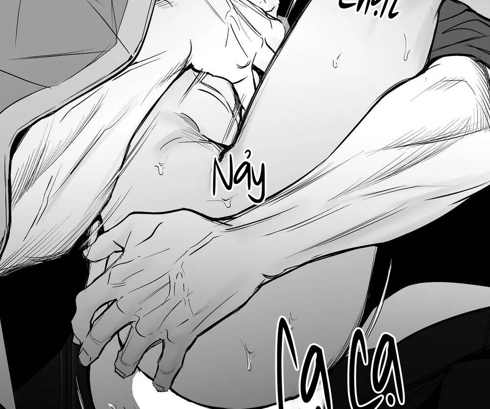 page_35.jpg