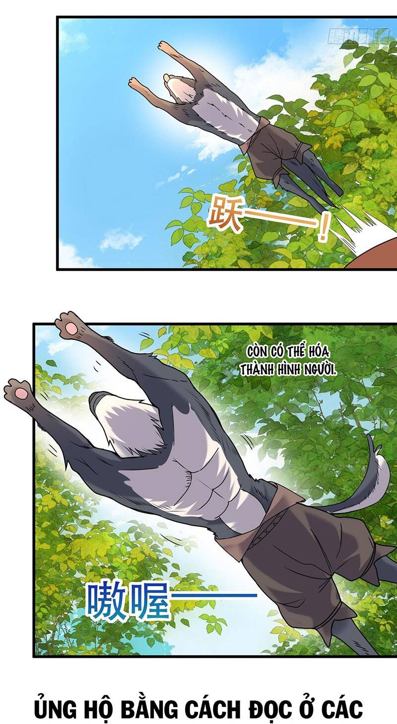 page_16.jpg