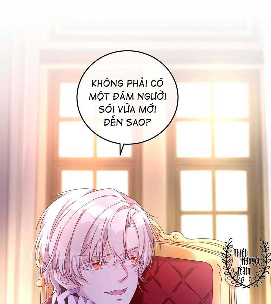 page_27.jpg