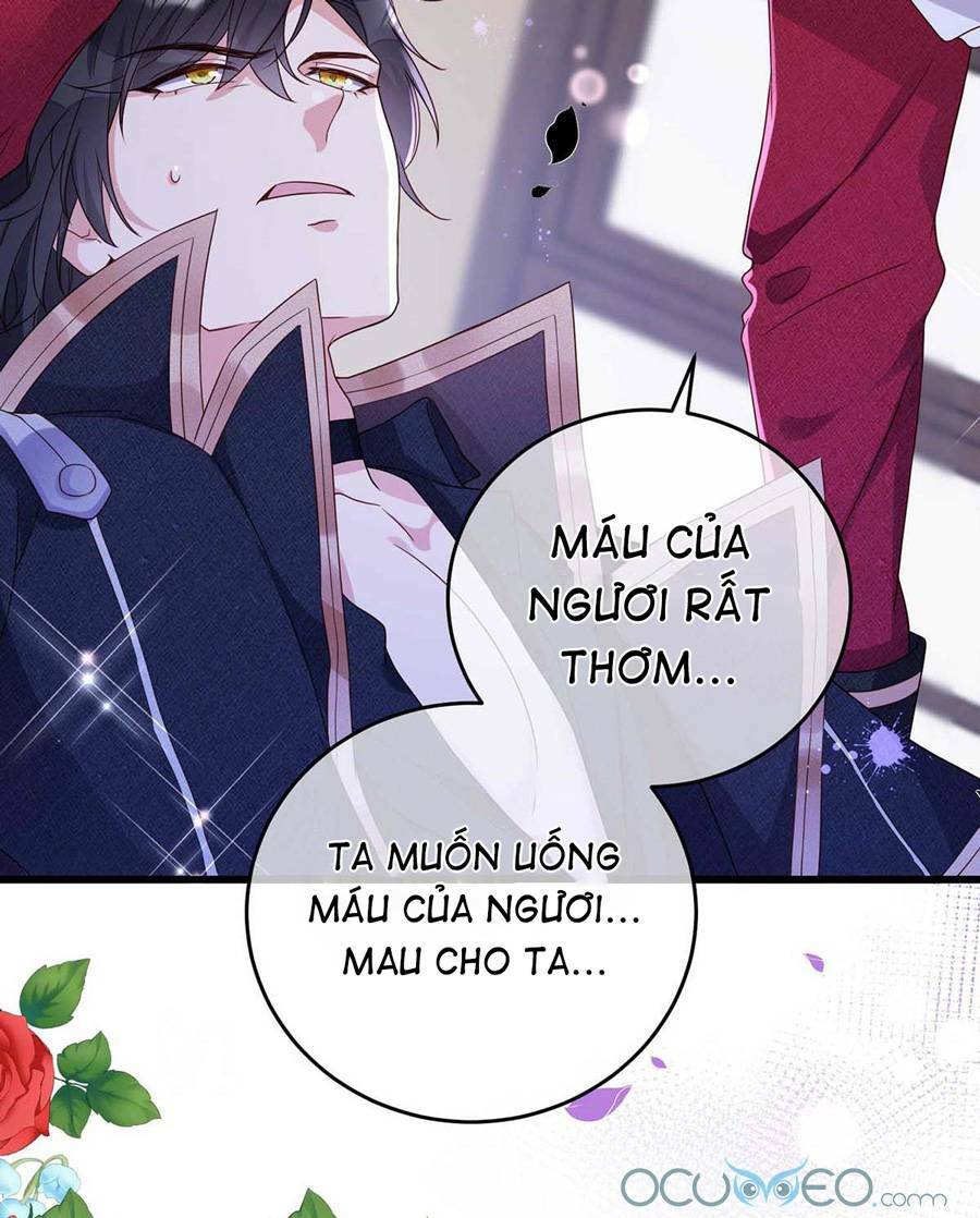 page_29.jpg