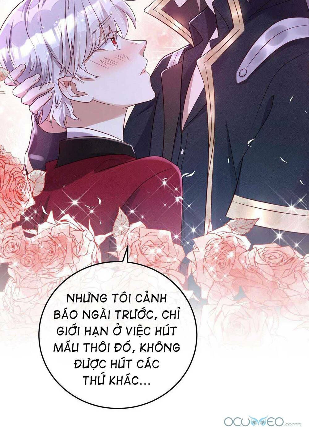 page_24.jpg