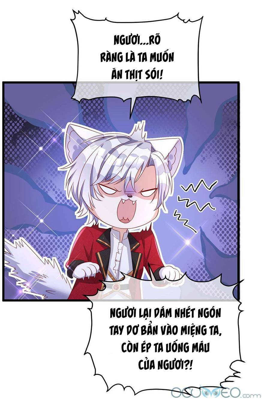 page_30.jpg