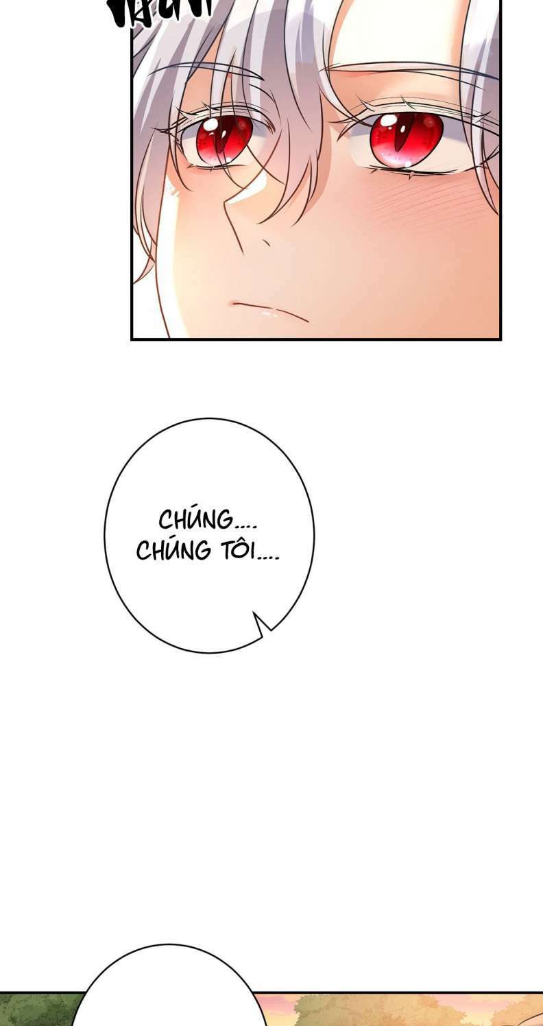 page_26.jpg