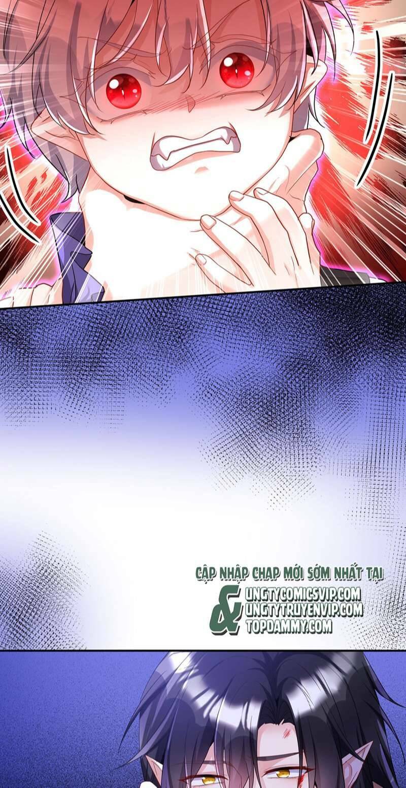 page_20.jpg
