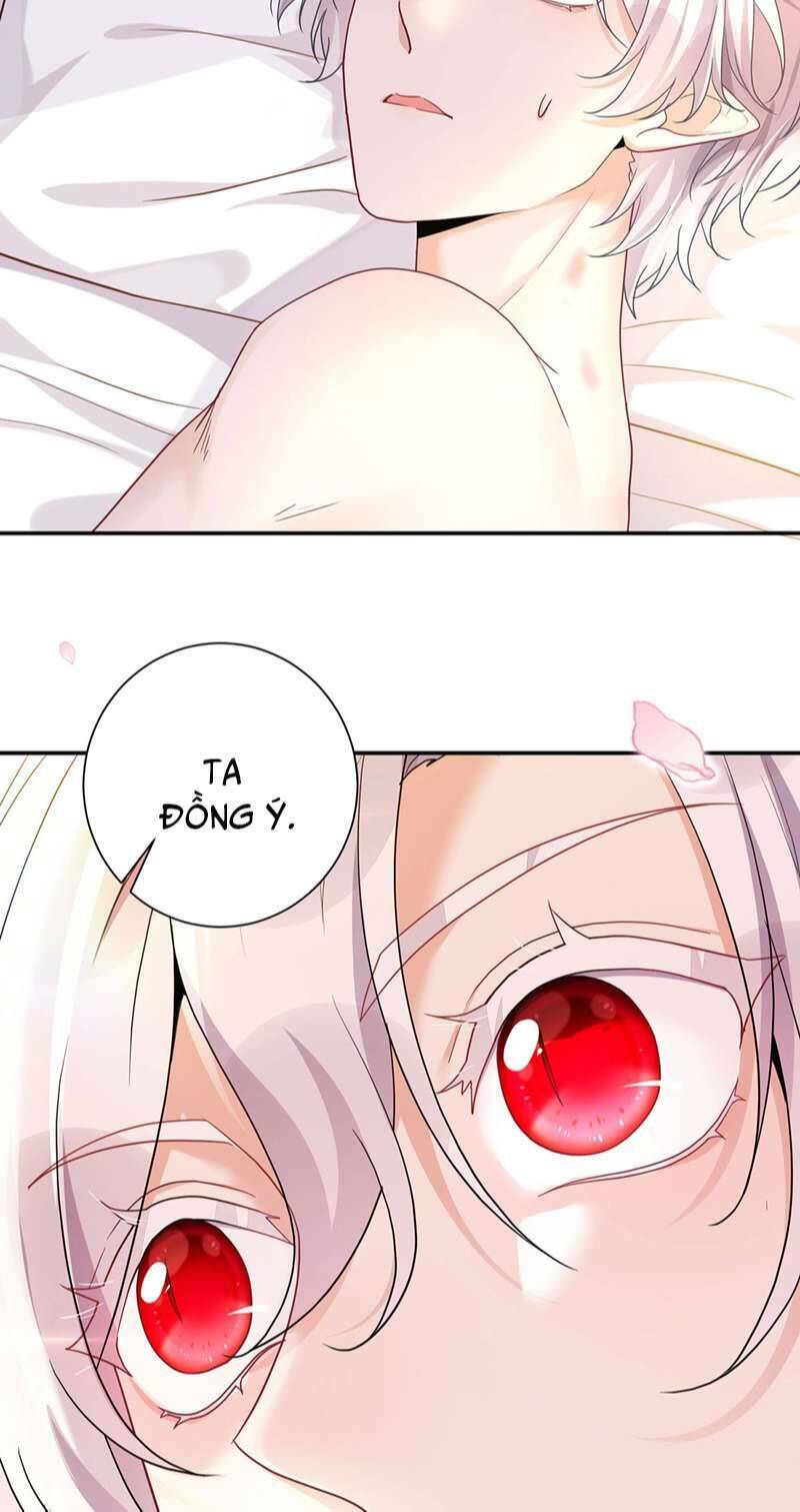 page_20.jpg