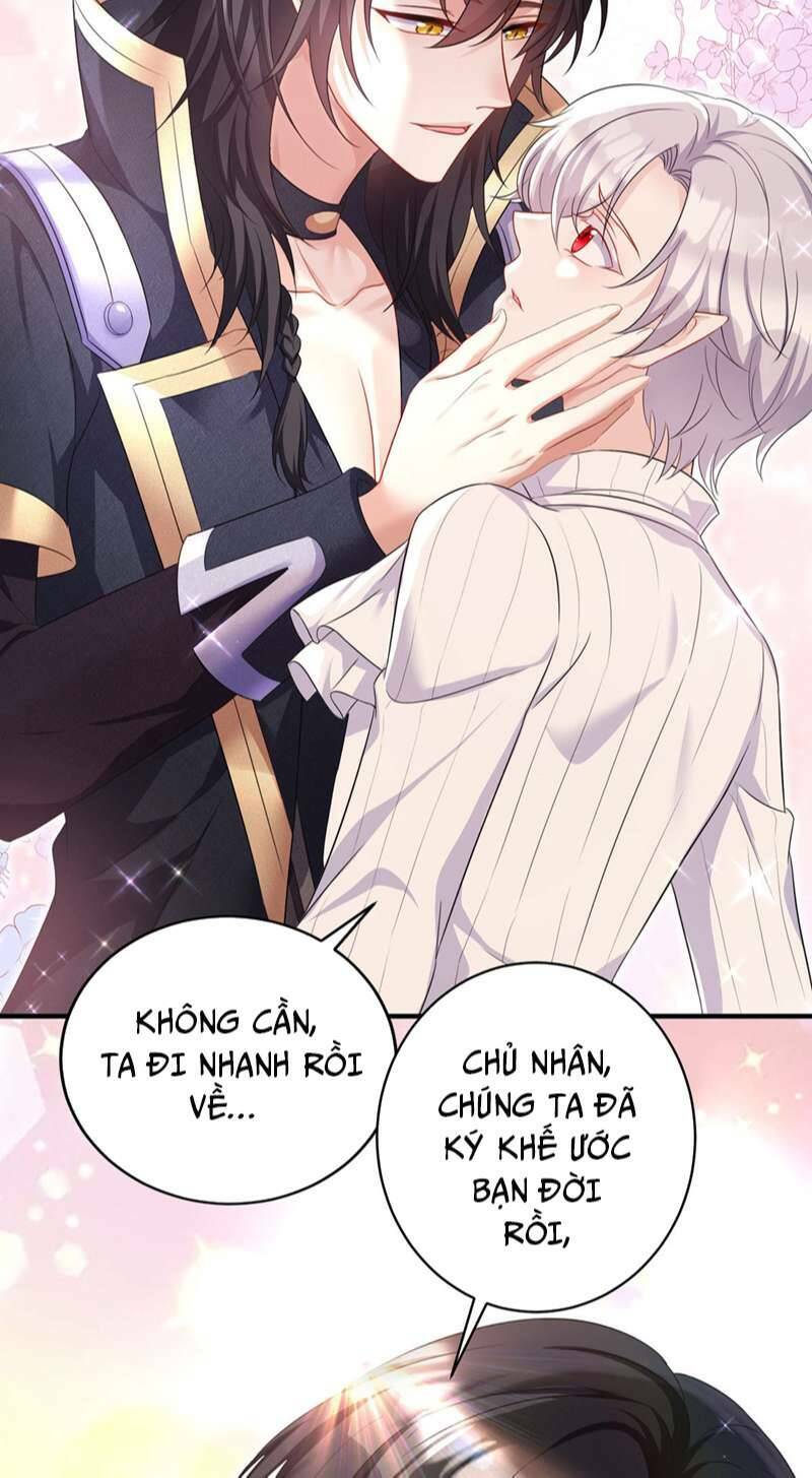 page_11.jpg