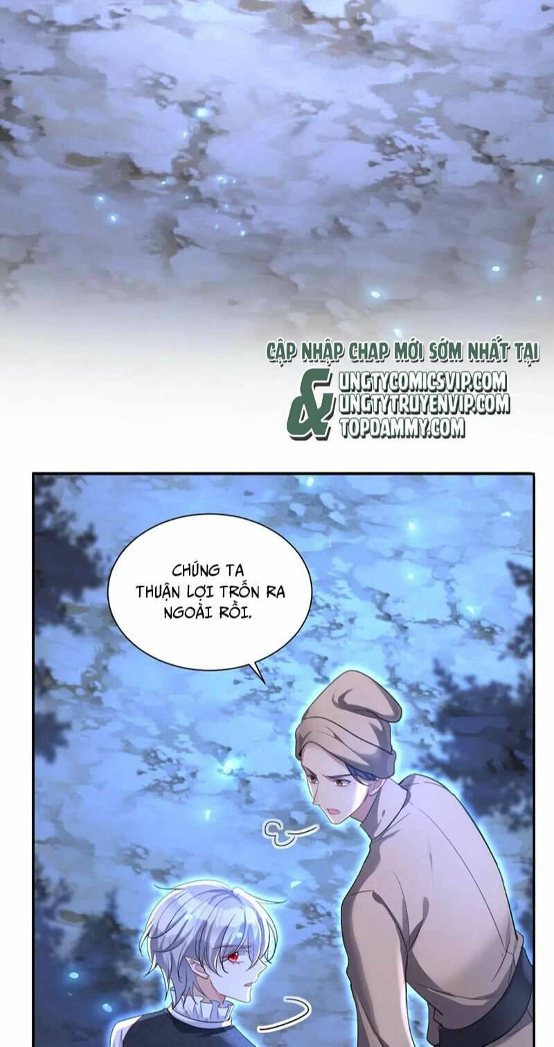 page_19.jpg