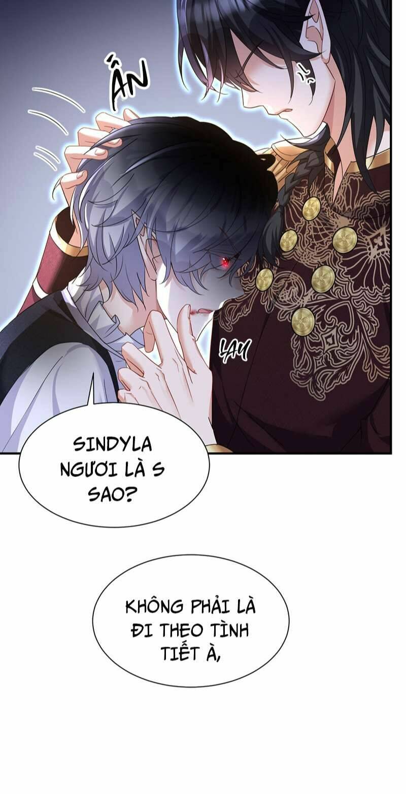 page_24.jpg