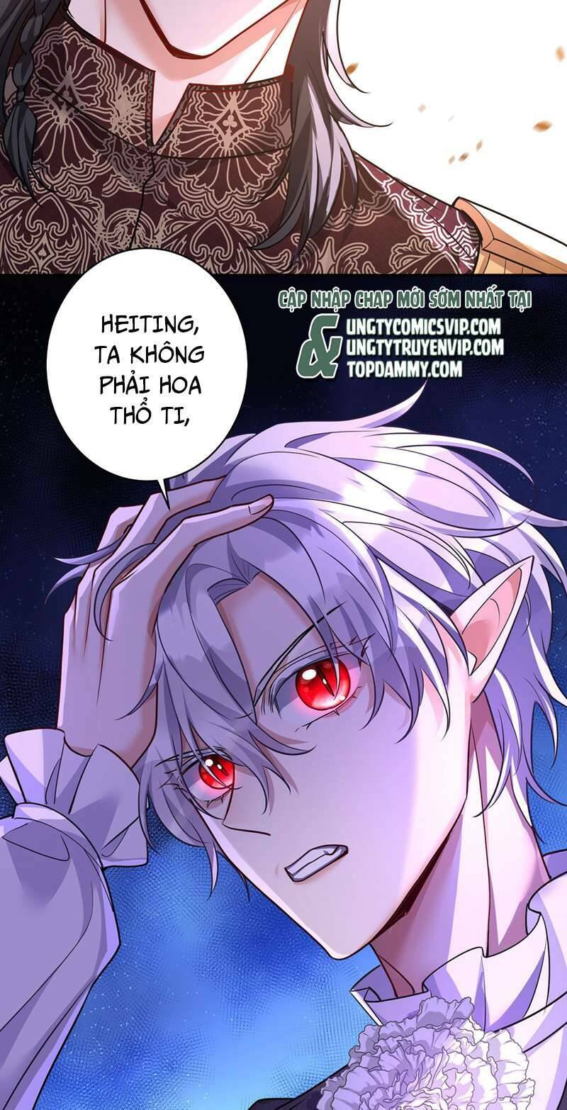 page_29.jpg