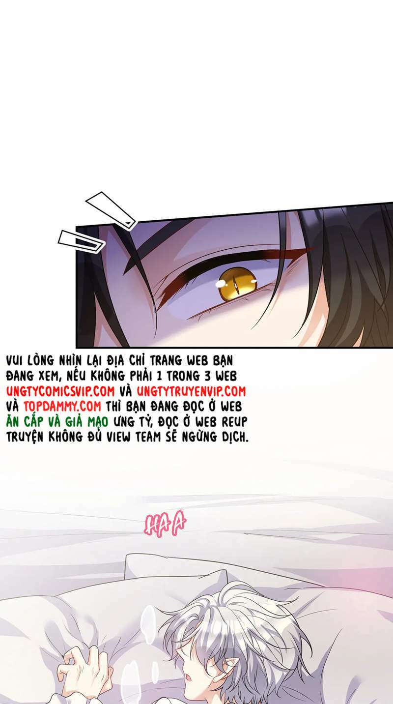 page_14.jpg