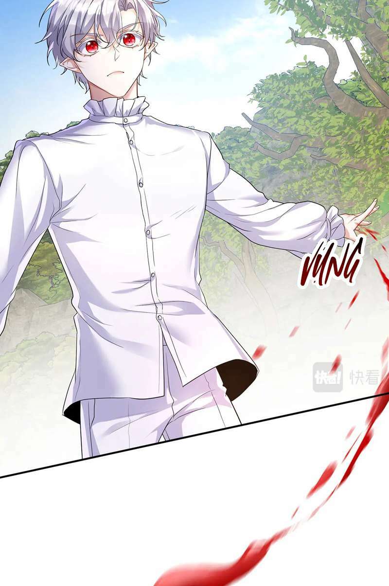 page_31.jpg