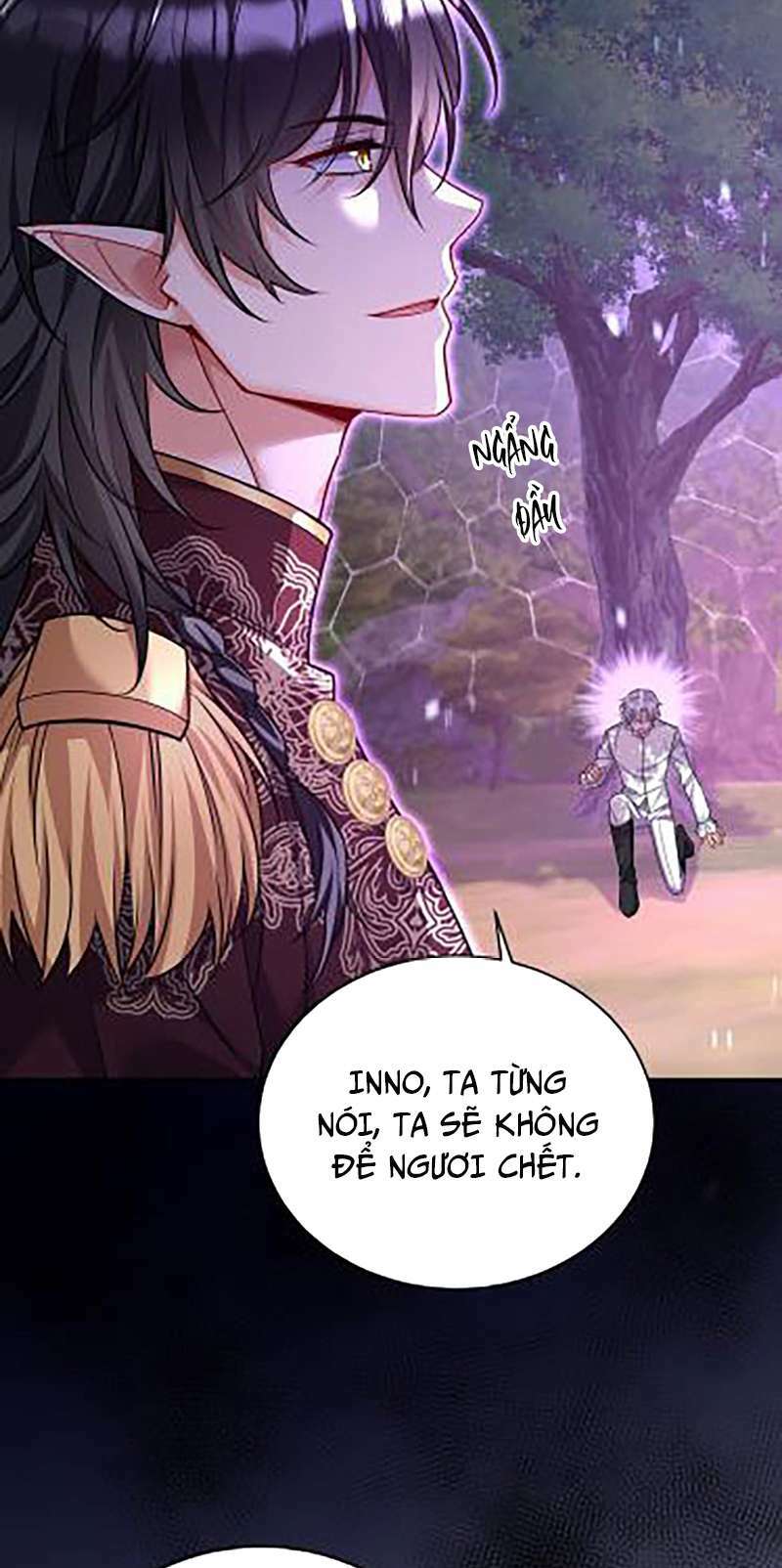 page_13.jpg