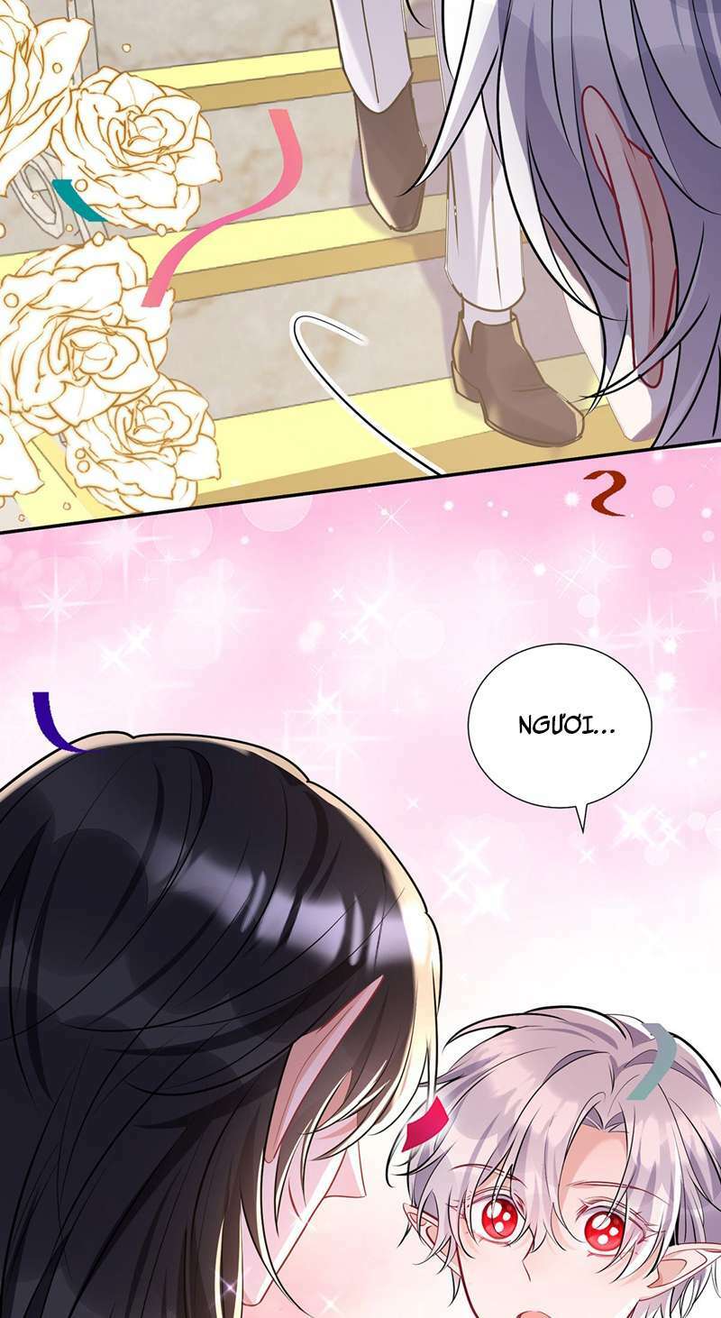 page_27.jpg