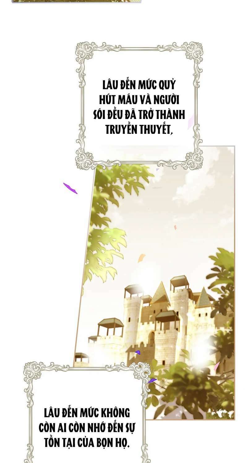page_37.jpg