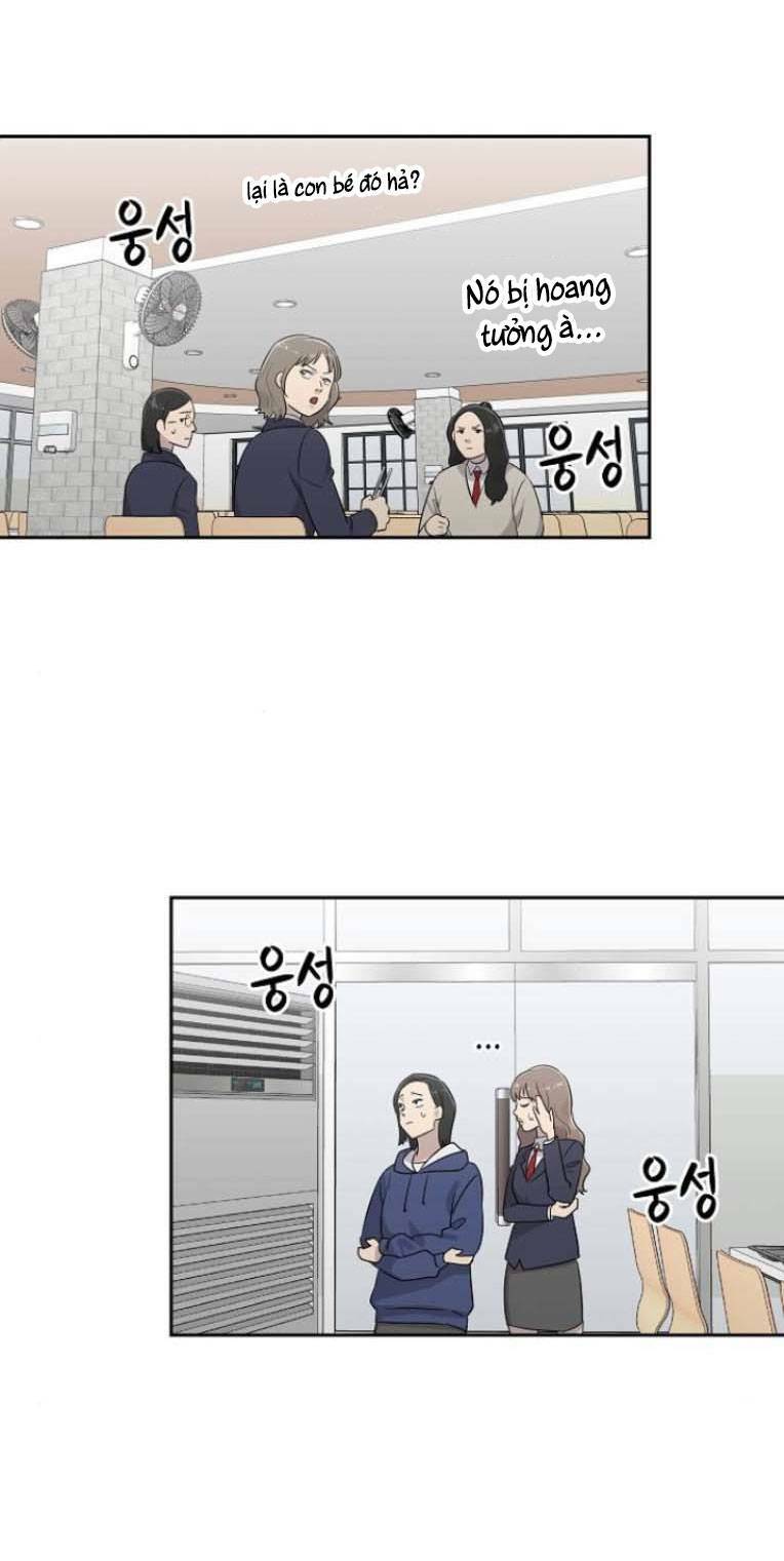 page_29.jpg