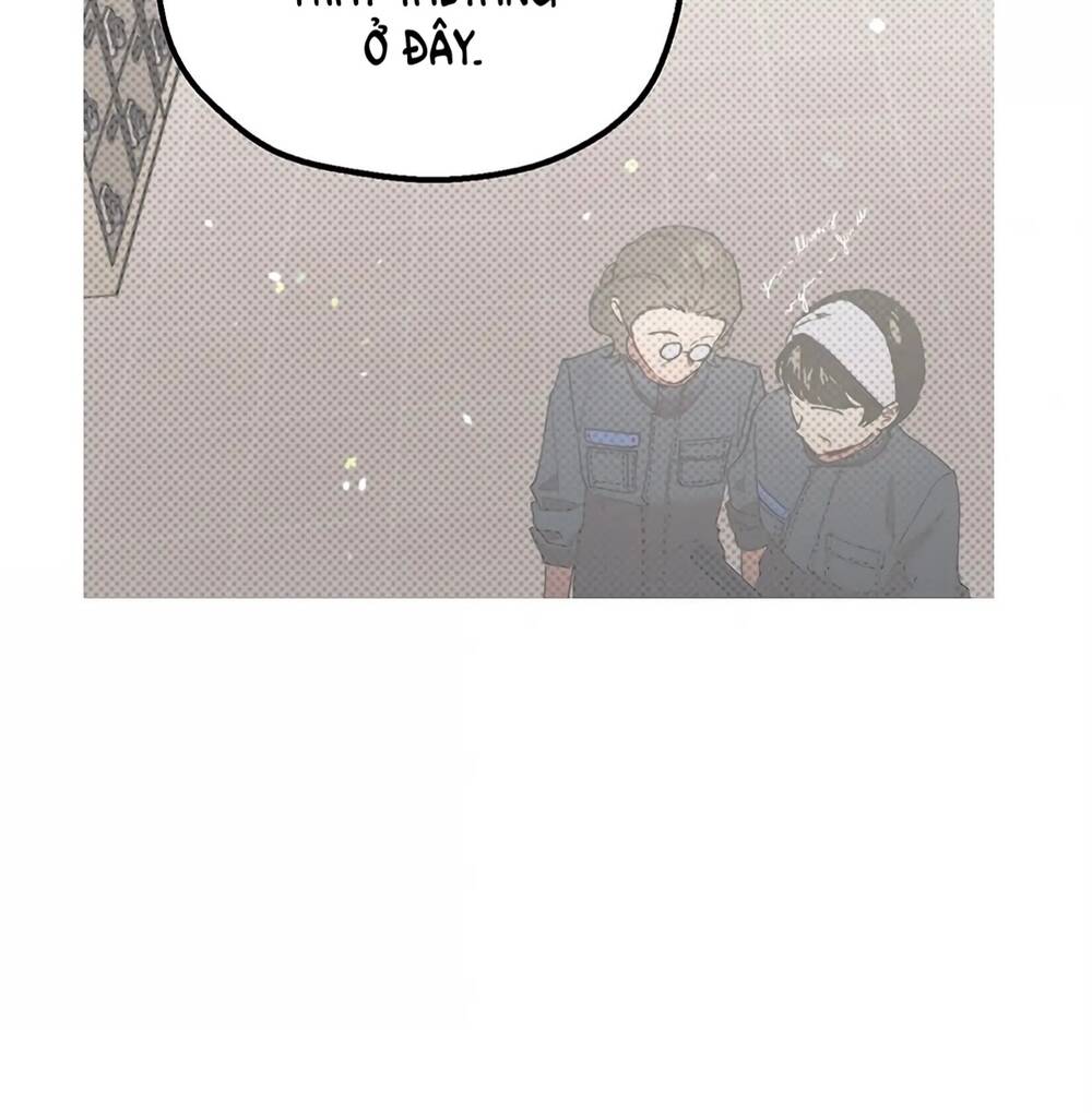 page_28.jpg