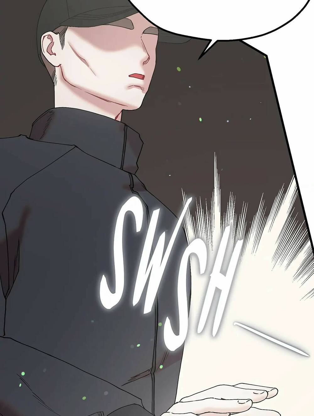 page_29.jpg
