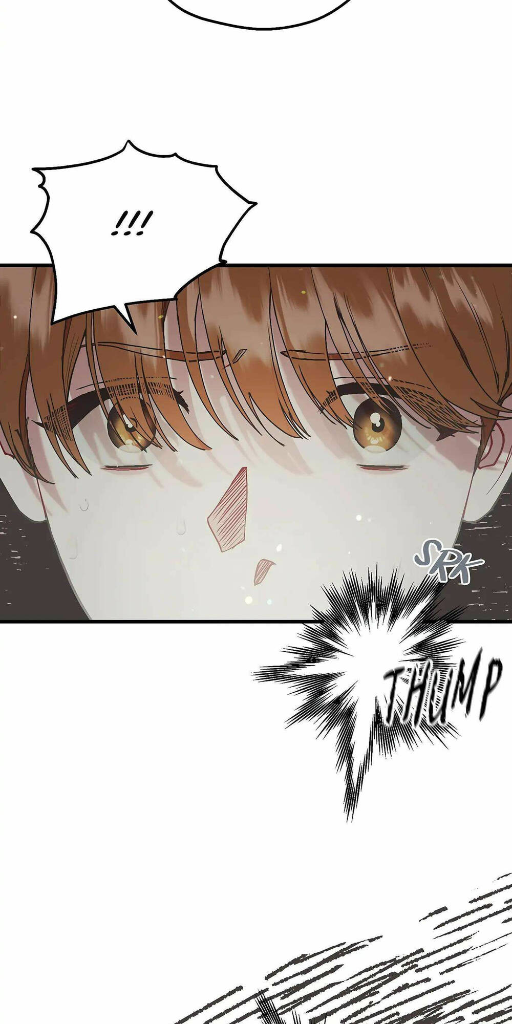 page_45.jpg