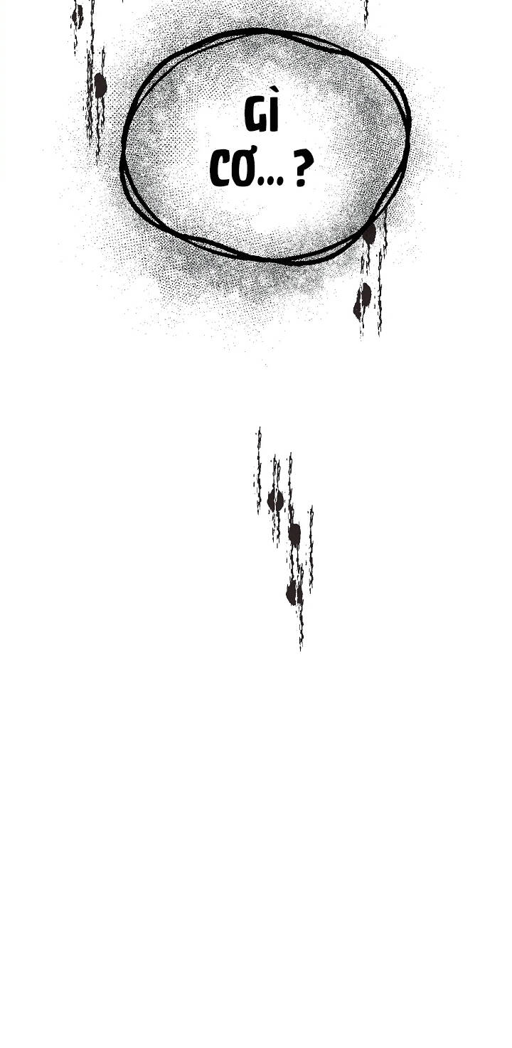 page_33.jpg