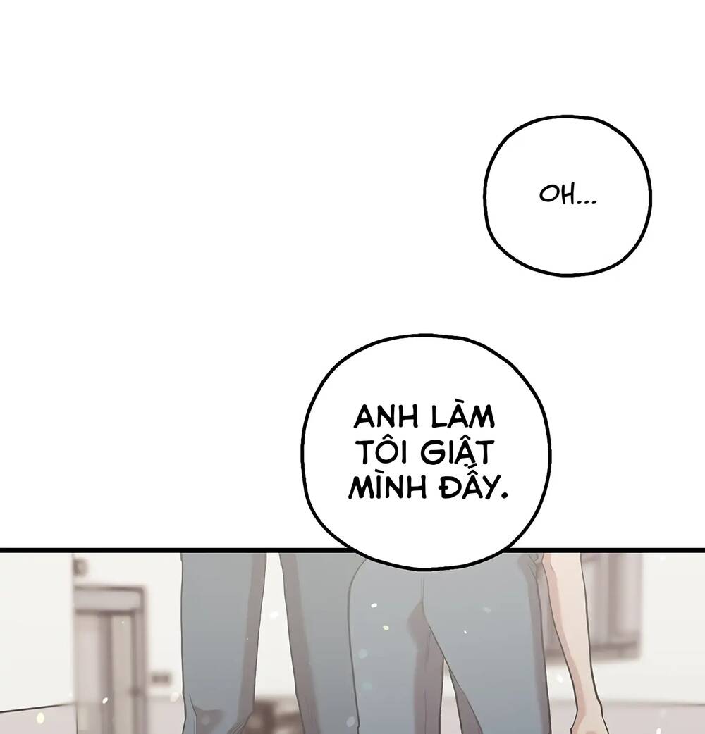page_13.jpg