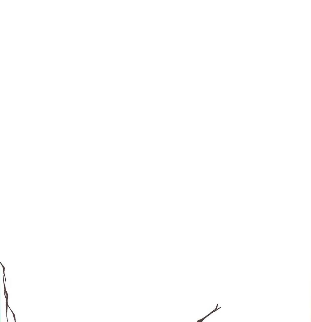 page_15.jpg