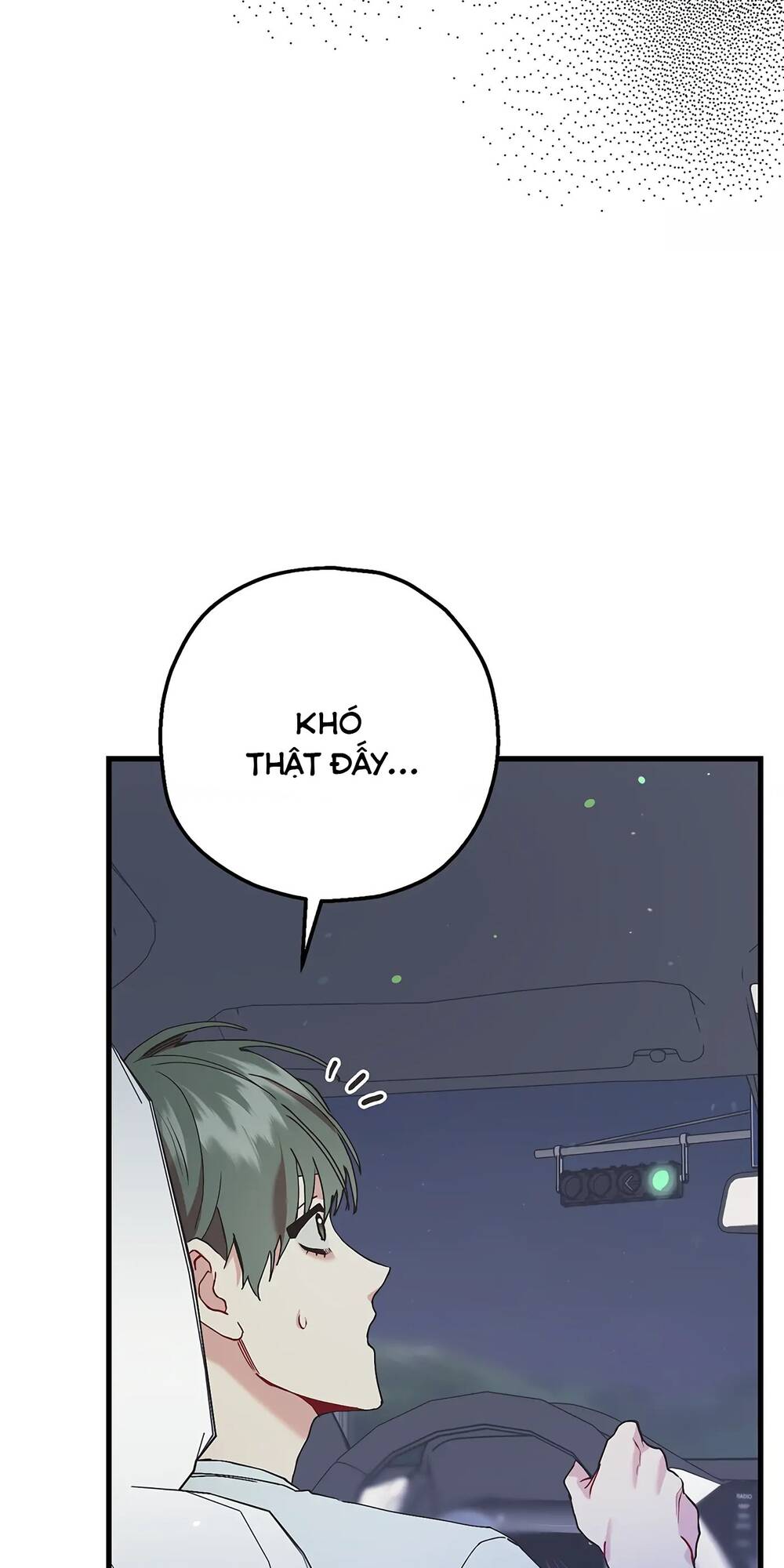 page_19.jpg