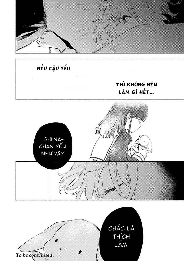 page_13.jpg