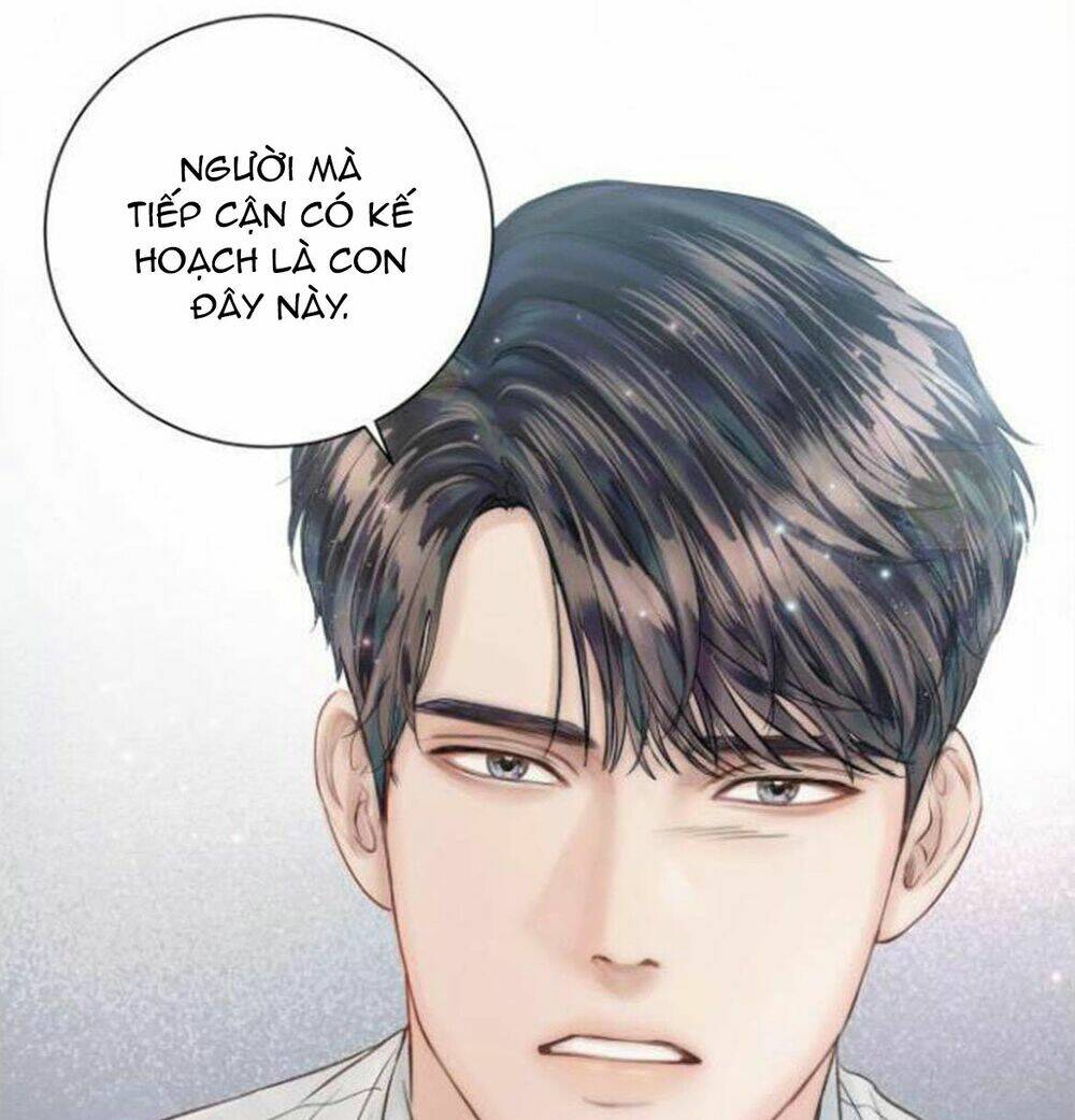 page_35.jpg