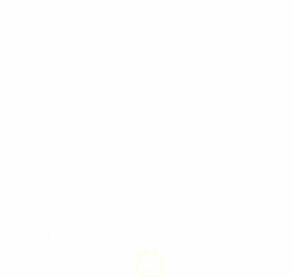 page_16.jpg